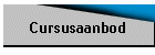 Cursusaanbod