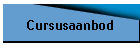 Cursusaanbod