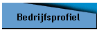 Bedrijfsprofiel